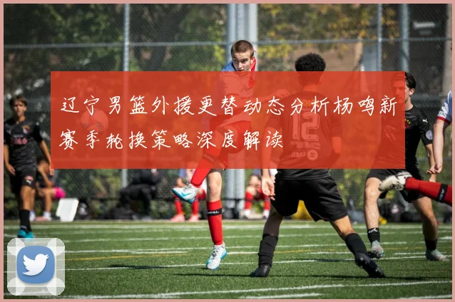 辽宁男篮外援更替动态分析杨鸣新赛季轮换策略深度解读