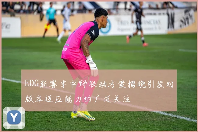 EDG新赛季中野联动方案揭晓引发对版本适应能力的广泛关注
